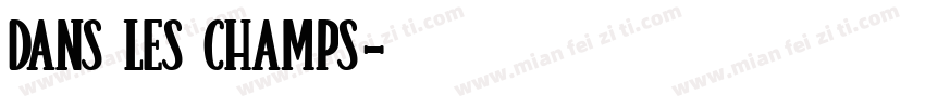 DANS LES CHAMPS字体转换
